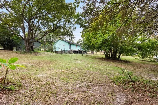 a view of a tree in front of a house with a big yard