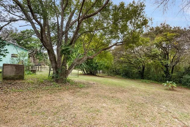 a backyard of a house with lots of green space