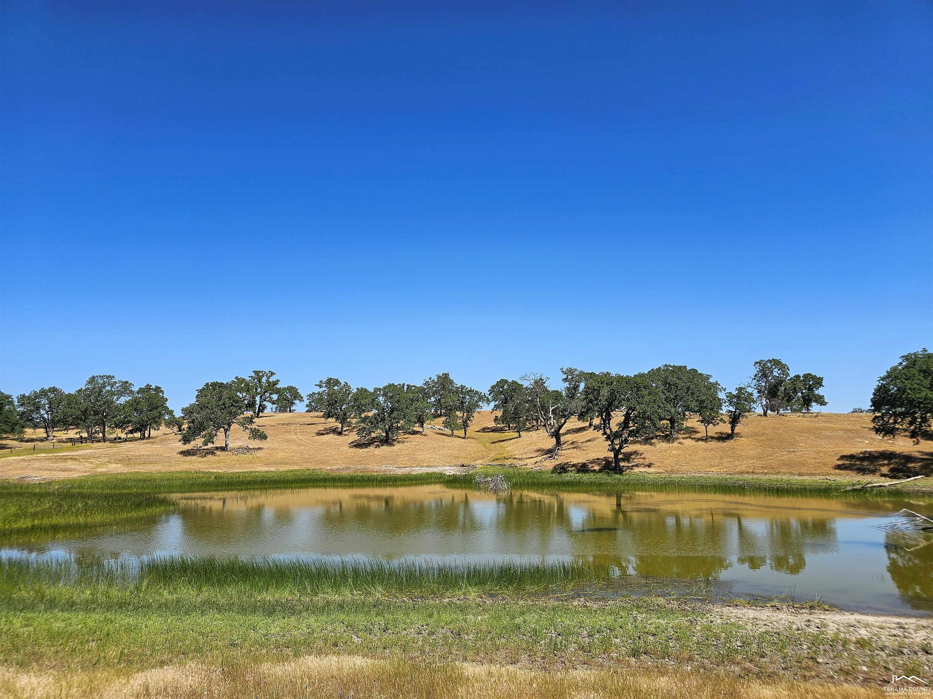 0 Jellys Ferry Road Red Bluff, CA 96080 - Photo 2 of 24 Gallery Image 2