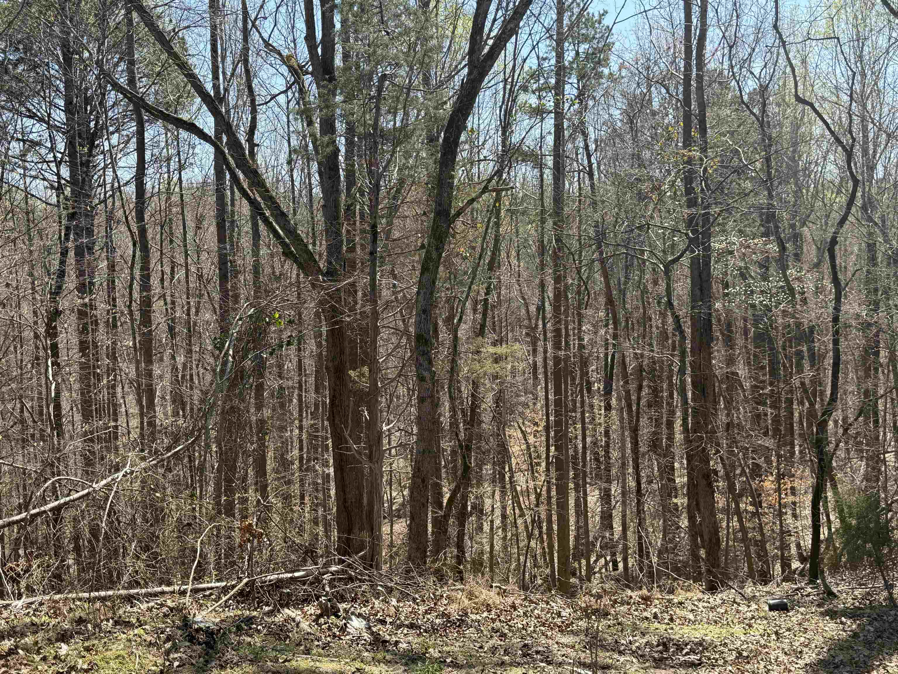 218 State Rd S-44-57 Union, SC 29379 - Photo 12 of 14