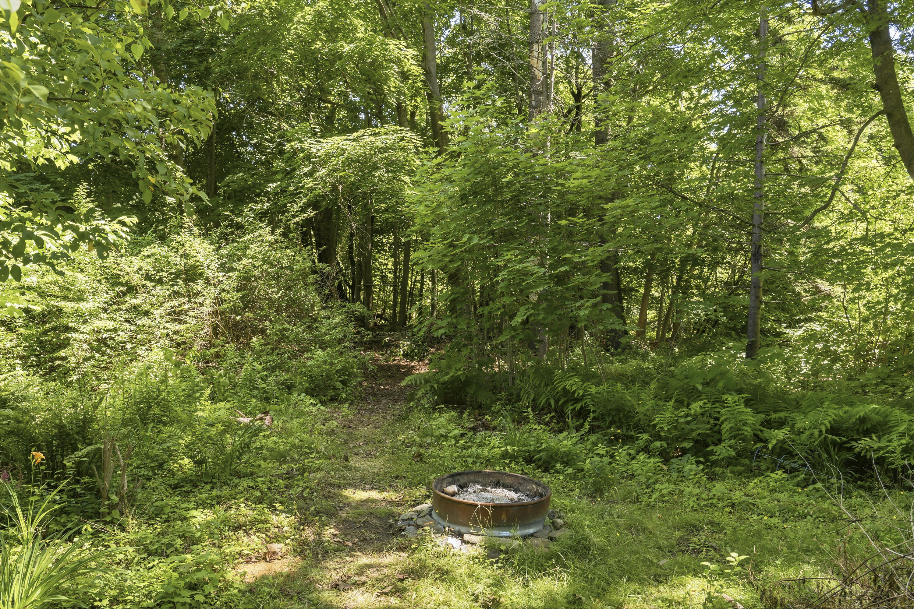 55 Basin Cove Road Harpswell, ME 04079 - Photo 22 of 42 Backyard