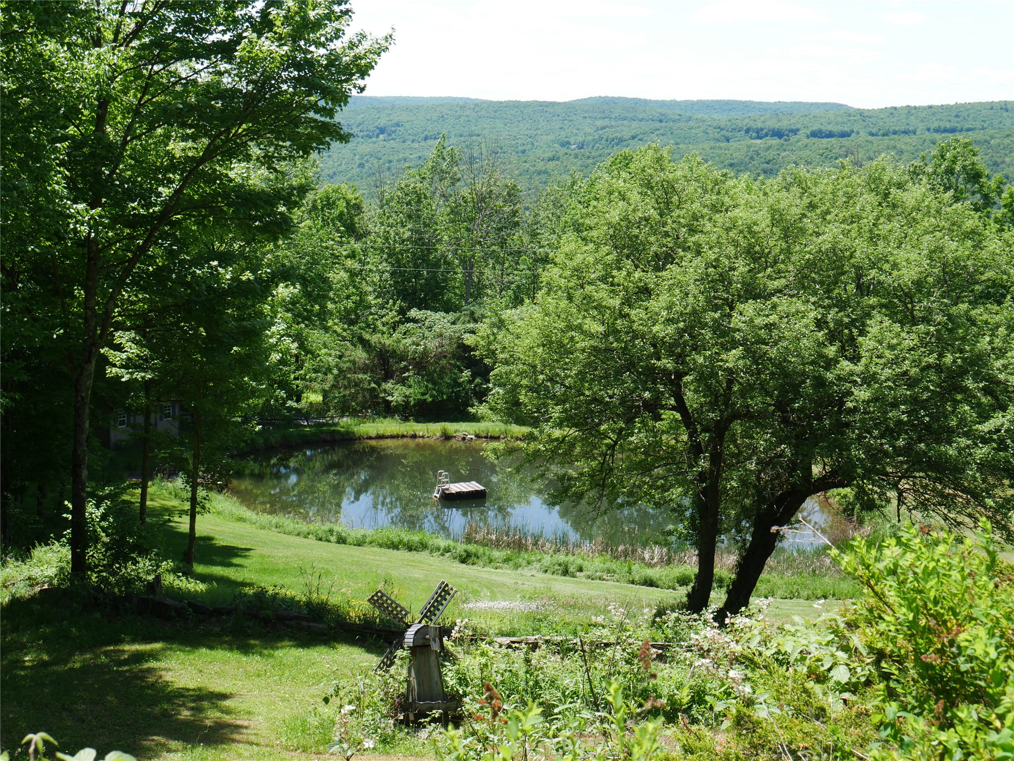 1338 Abe Boice Road Sidney Center, NY 13839 - Photo 10 of 38