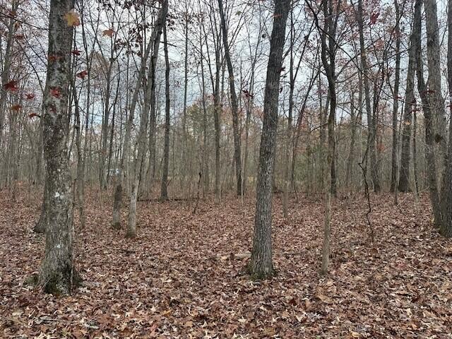 12 Prater Road Pikeville, TN 37367 - Photo 13 of 19 Gallery Image 13