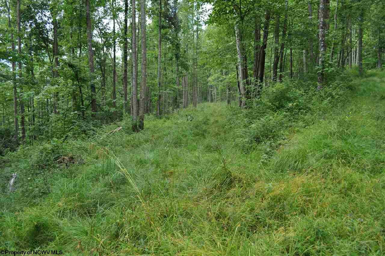 575 Fairview Road Independence, WV 26374 - Photo 8 of 20 Gallery Image 8