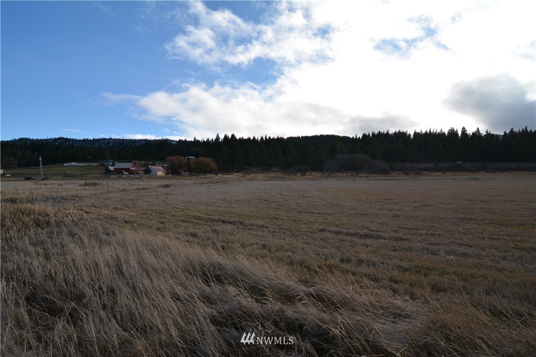 3 Lot Road Cle Elum, WA 98922 - Photo 3 of 13 Gallery Image 3