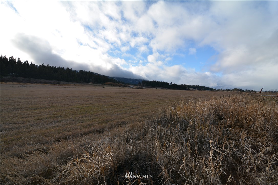 3 Lot Road Cle Elum, WA 98922 - Photo 4 of 13 Gallery Image 4