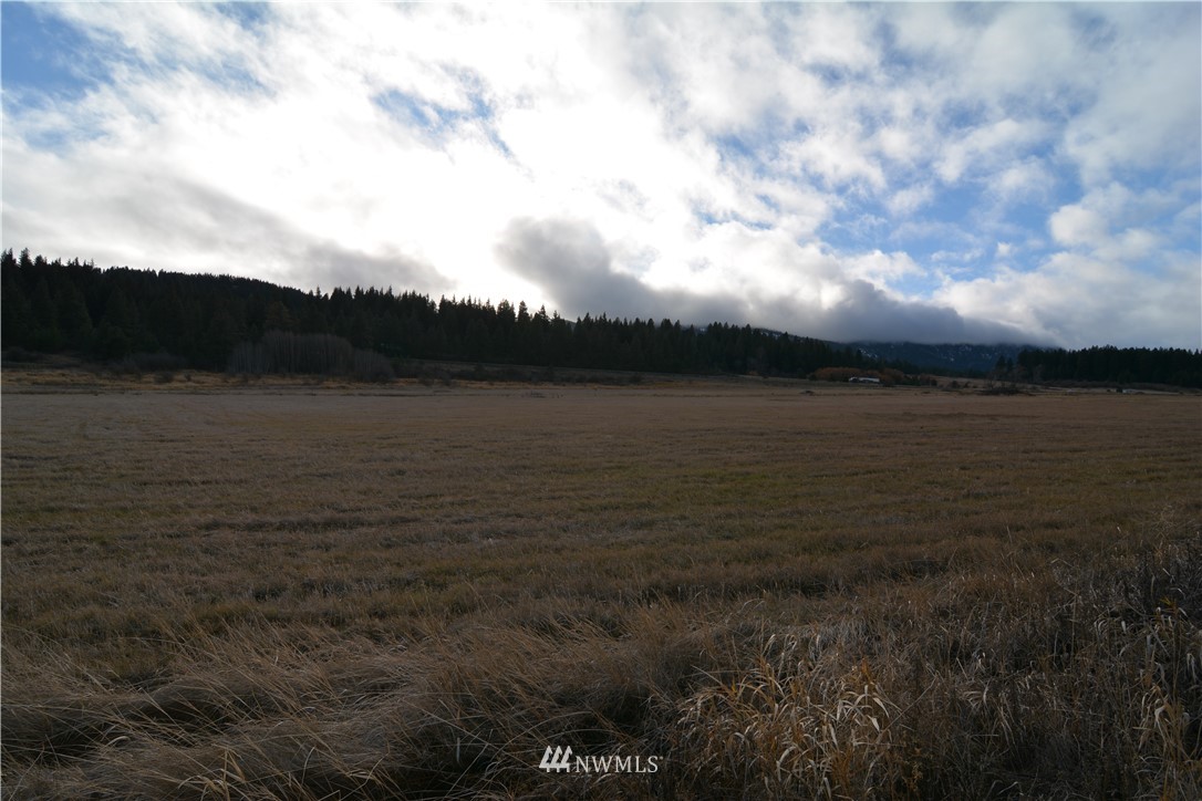 3 Lot Road Cle Elum, WA 98922 - Photo 5 of 13 Gallery Image 5