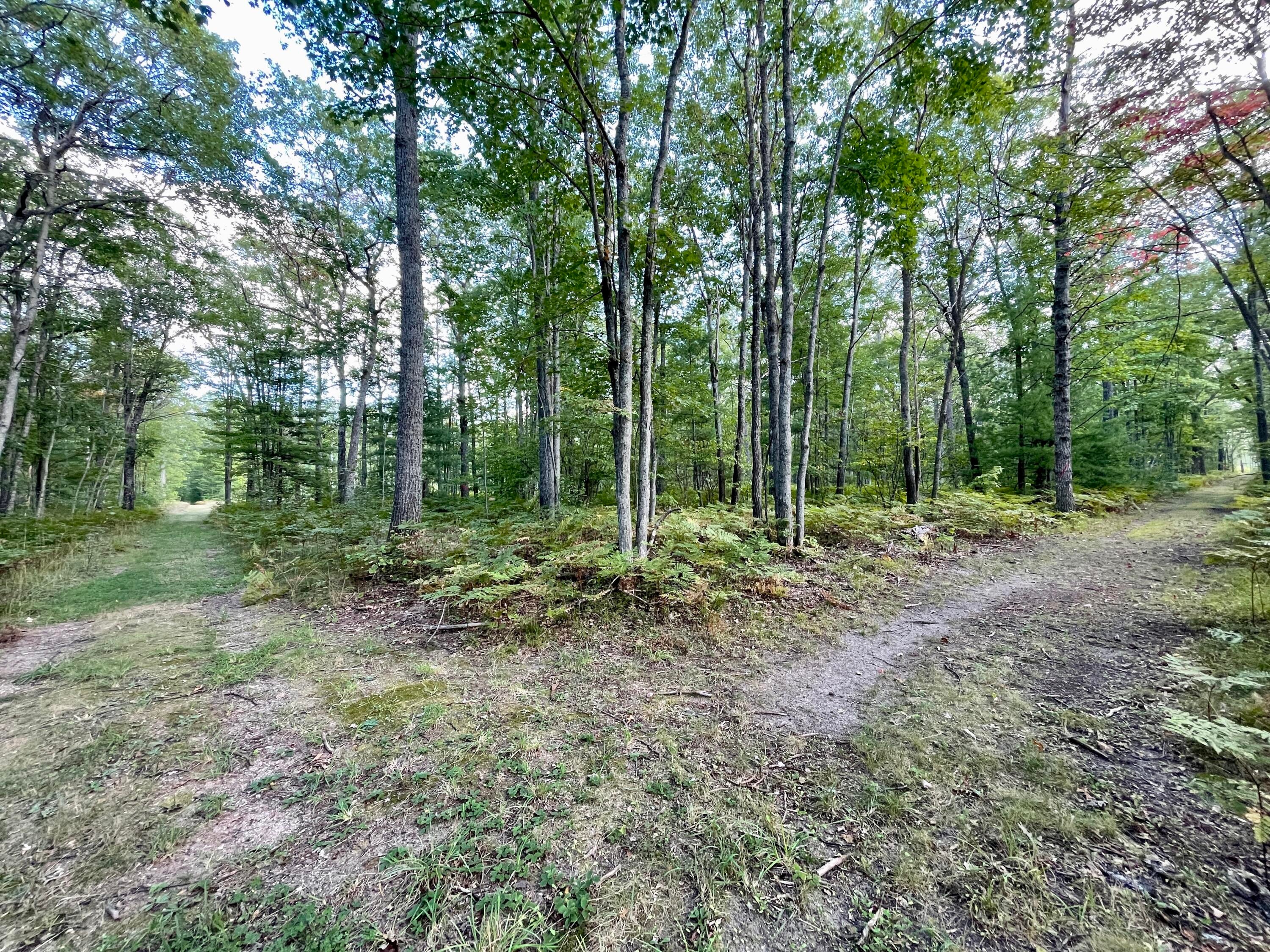 7675 Meridian Line Road Johannesburg, MI 49751 - Photo 19 of 42 Gallery Image 19