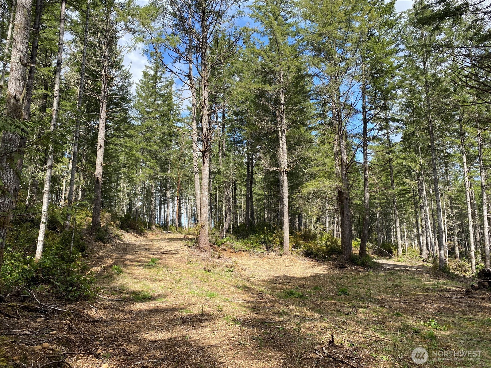 -tr4 East Mason Lake Road Grapeview, WA 98546 - Photo 10 of 10 Gallery Image 10