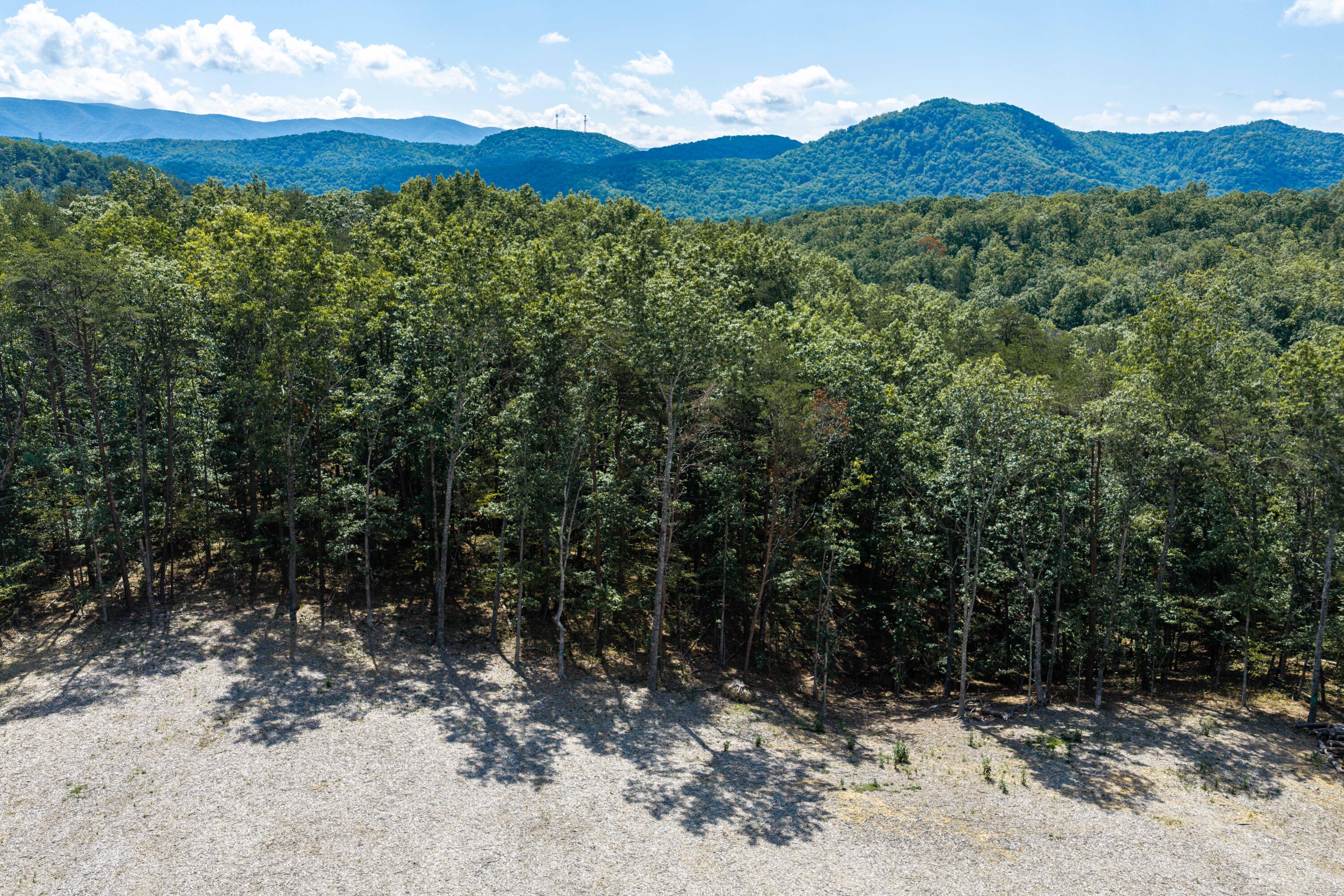 3050 New Ridge Road Elliston, VA 24087 - Photo 5 of 31 DJI_20260830120531_0079_D