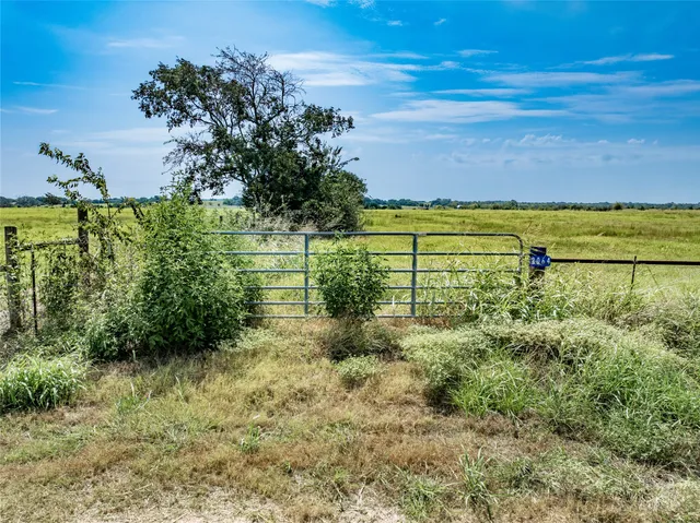 a view of a garden with an outdoor space