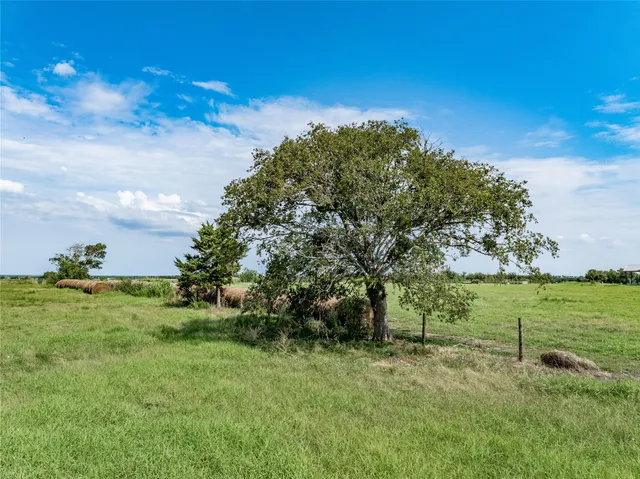 a view of a big yard with a large tree