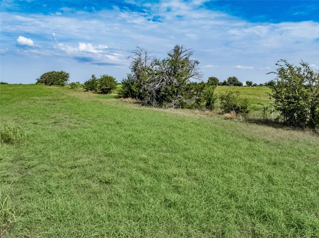 a view of a big yard with plants and a garden