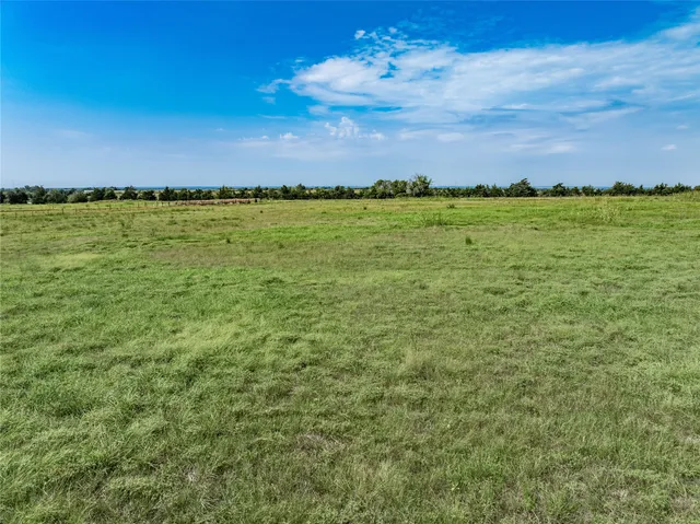 a view of a large body of water with lots of trees