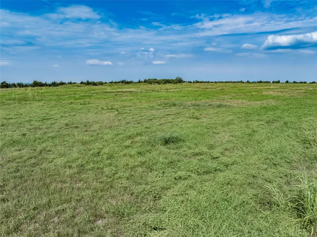 a view of a green field with lots of bushes