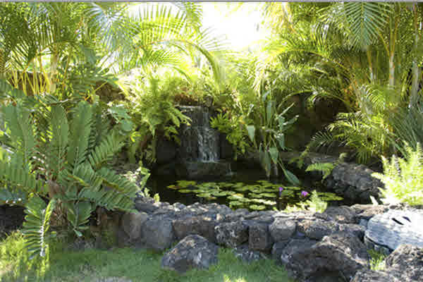1675-2 Makanui Road Koloa, HI 96756 - Photo 12 of 23 Gallery Image 12
