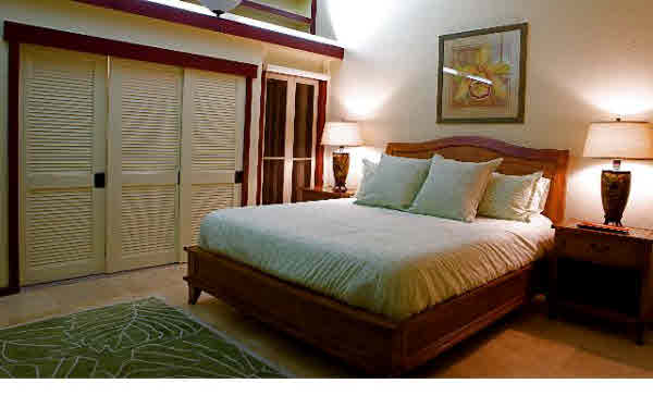 1675-2 Makanui Road Koloa, HI 96756 - Photo 18 of 23 Gallery Image 18