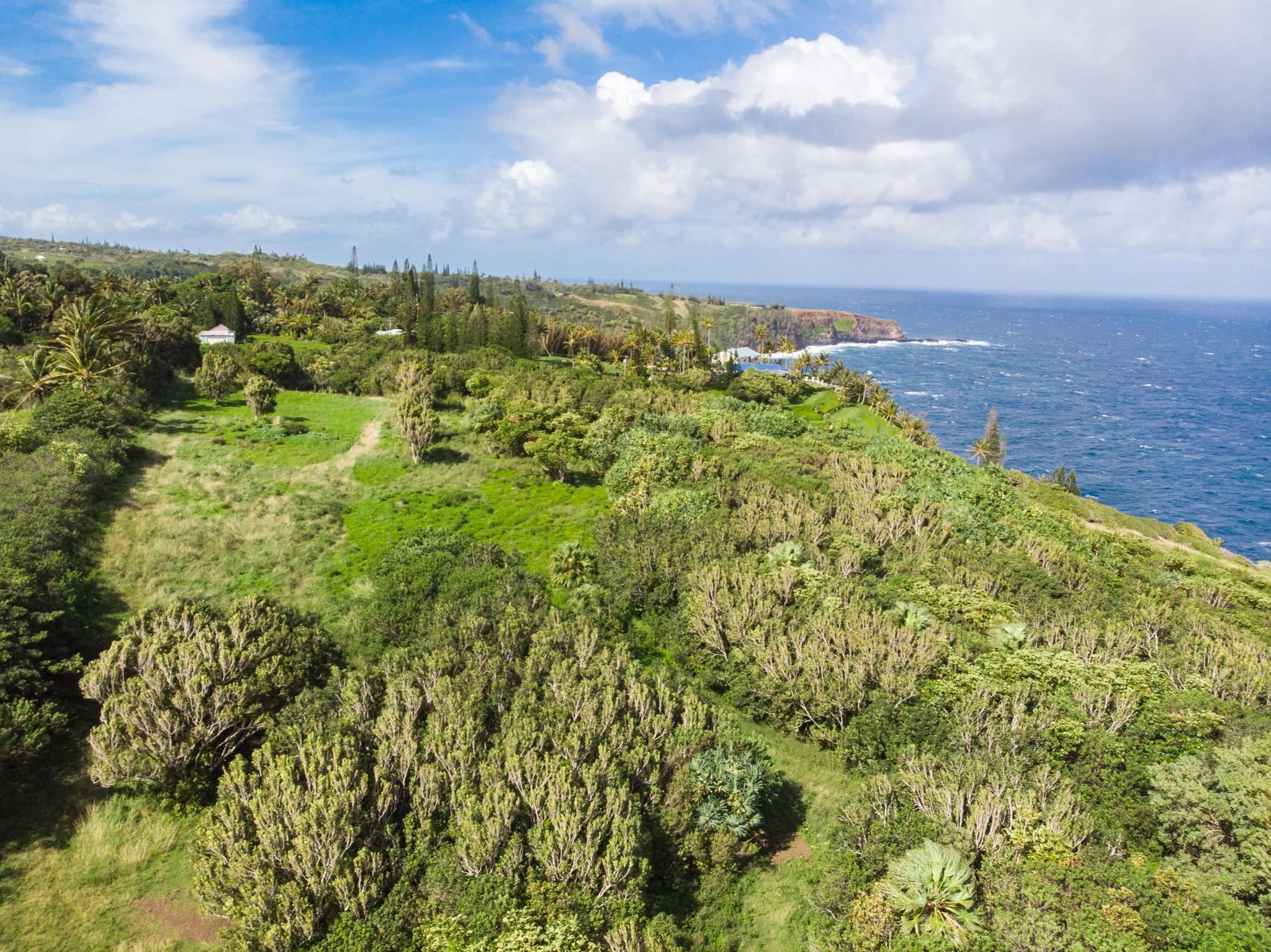 182 Door Of Faith Road, Unit LOT B Haiku, HI 96708 - Photo 5 of 8