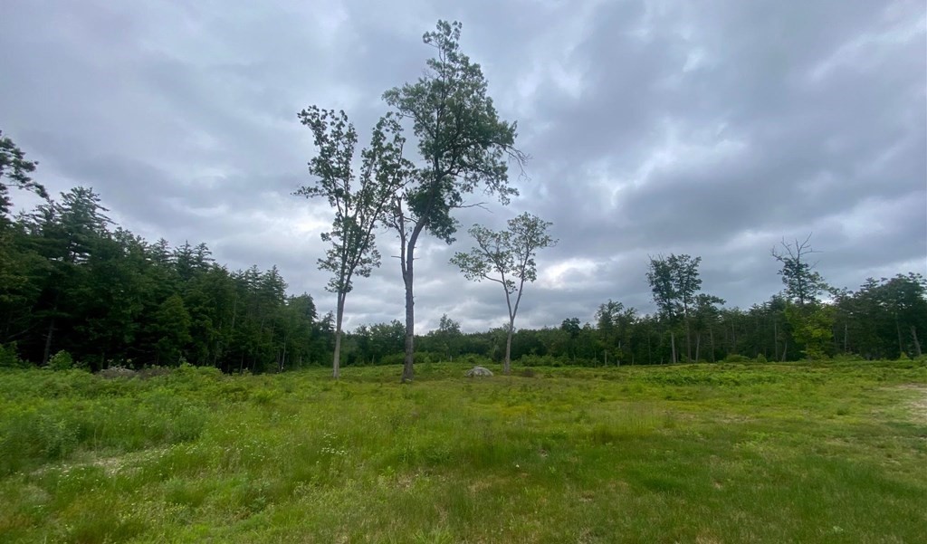 4 Savannah Way Amherst, NH 03031 - Photo 2 of 8 a view of a garden