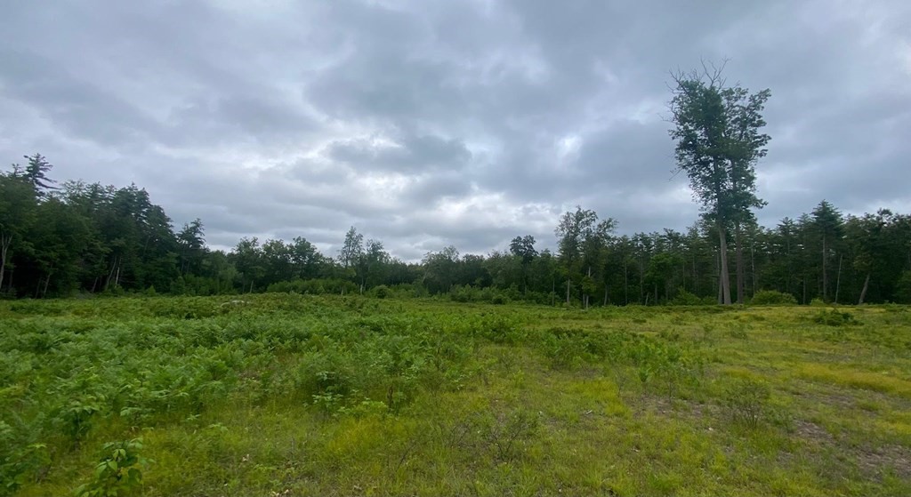 4 Savannah Way Amherst, NH 03031 - Photo 3 of 8 a view of an outdoor space with a lake view
