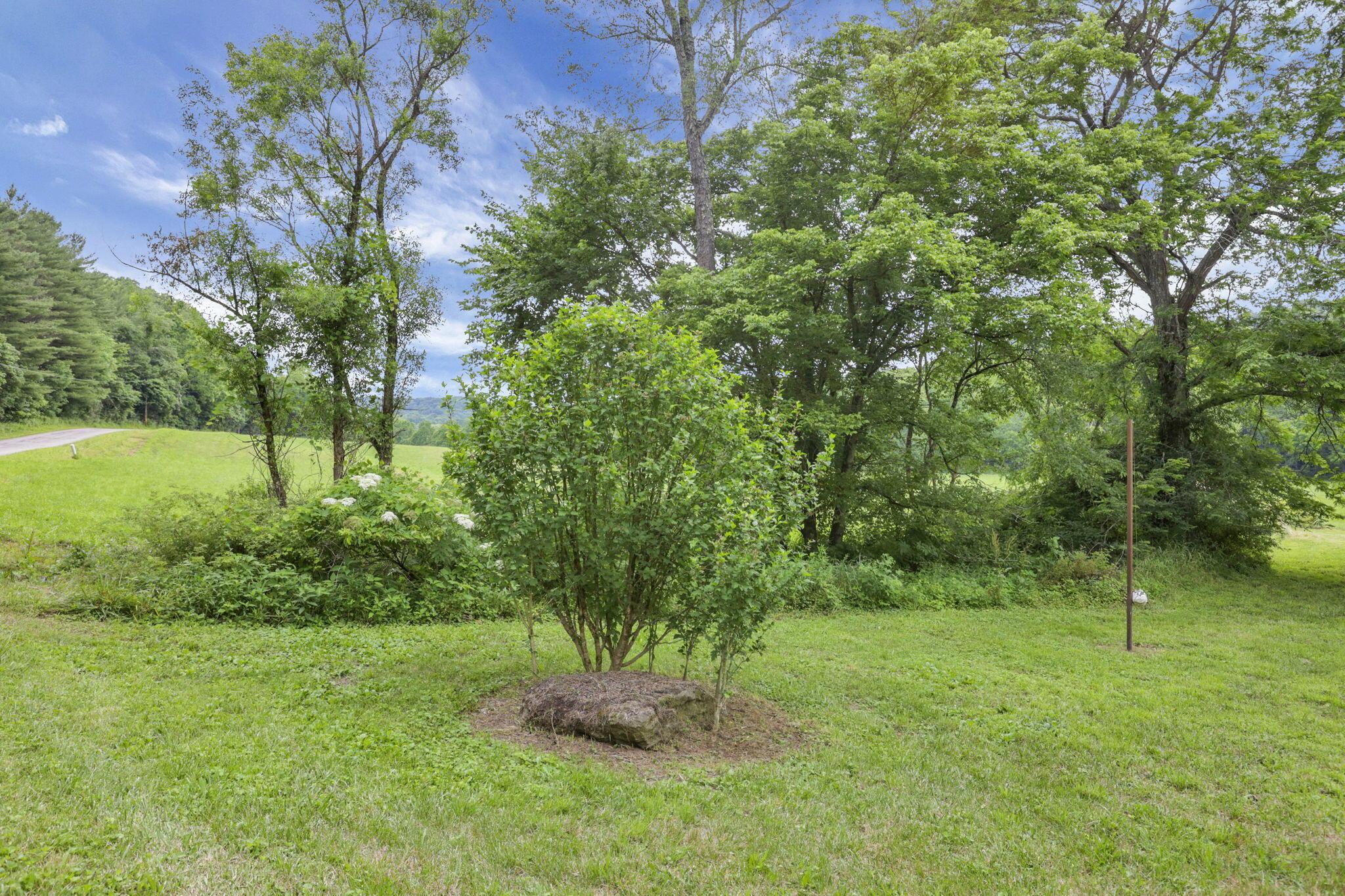 7455 Old Grade Road Chesterhill, OH 43728 - Photo 74 of 78 67-web-or-mls-LO5A5582