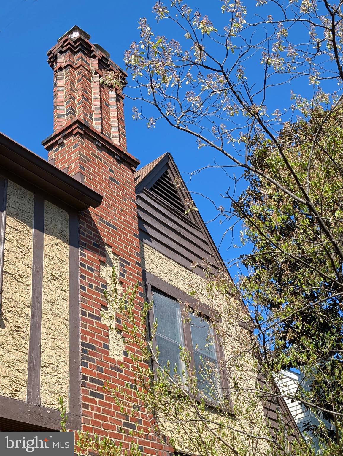 4413 Ridge Street Chevy Chase, MD 20815 - Photo 4 of 38