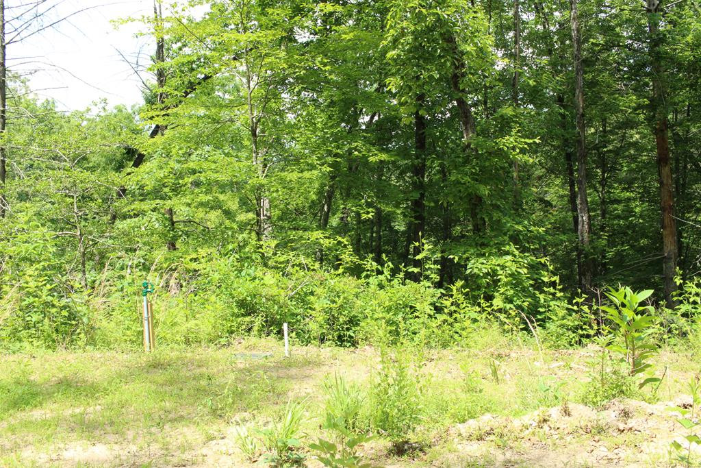 Tbd Martin Road Murphy, NC 28906 - Photo 48 of 50