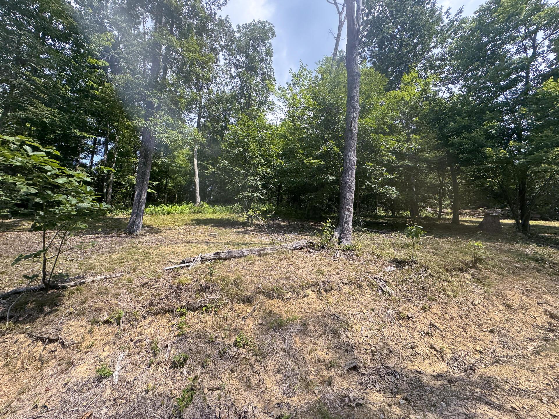 272 Golf Course Road, Unit TRACT 8 SKYLINEACRES) Waverly, OH 45690 - Photo 32 of 40 CT-32