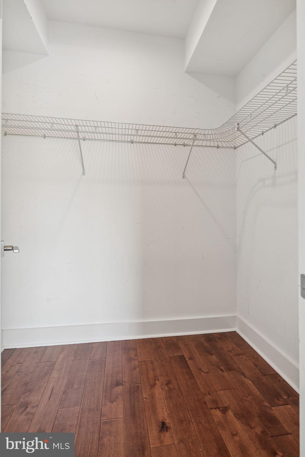273 Ripka Street Philadelphia, PA 19127 - Photo 54 of 63 Walk In Closet
