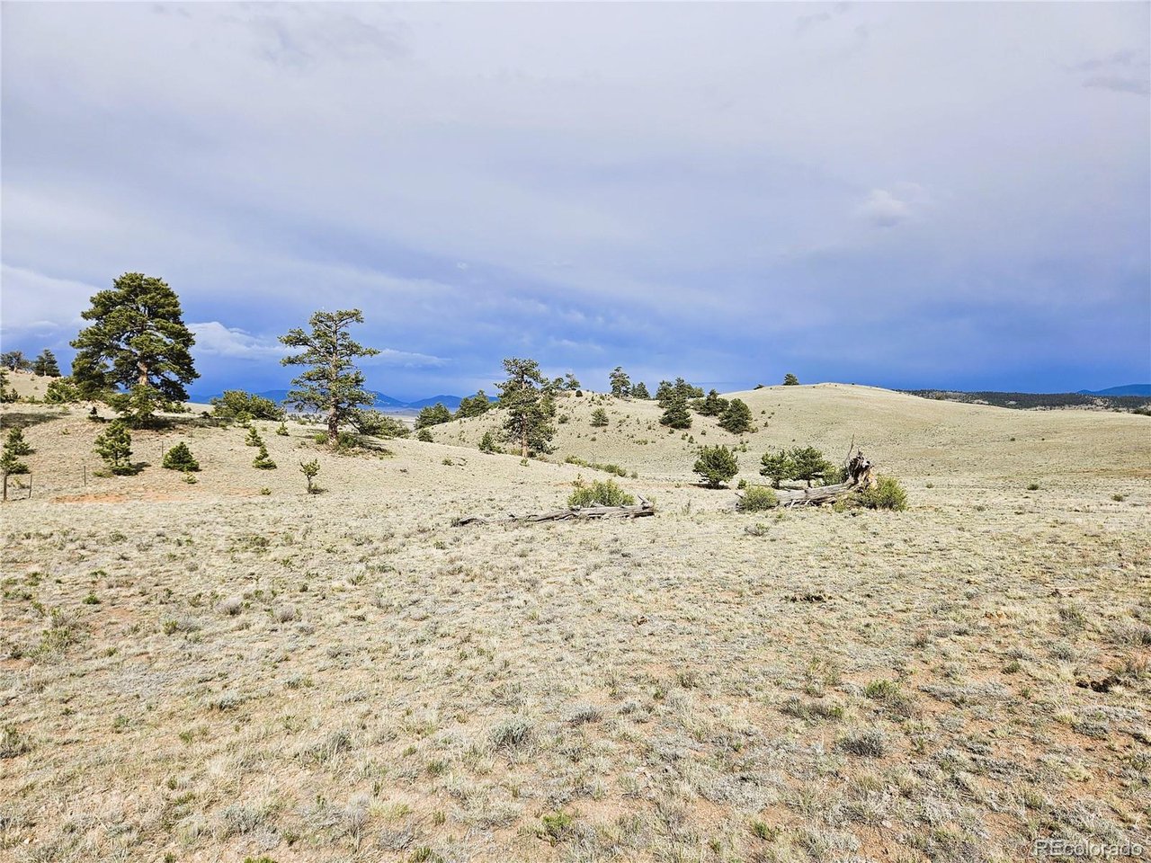 24131 Chato Road Hartsel, CO 80449 - Photo 15 of 28