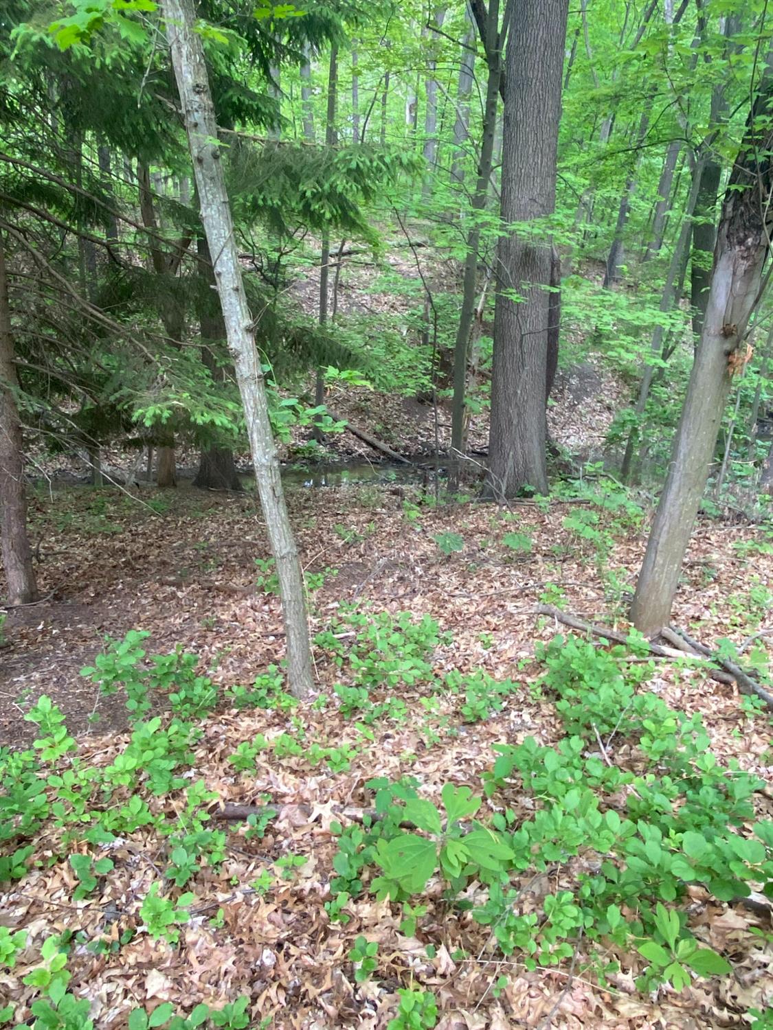 0 West Bleck Road Michigan City, IN 46360 - Photo 1 of 3 a backyard of a house with lots of green space