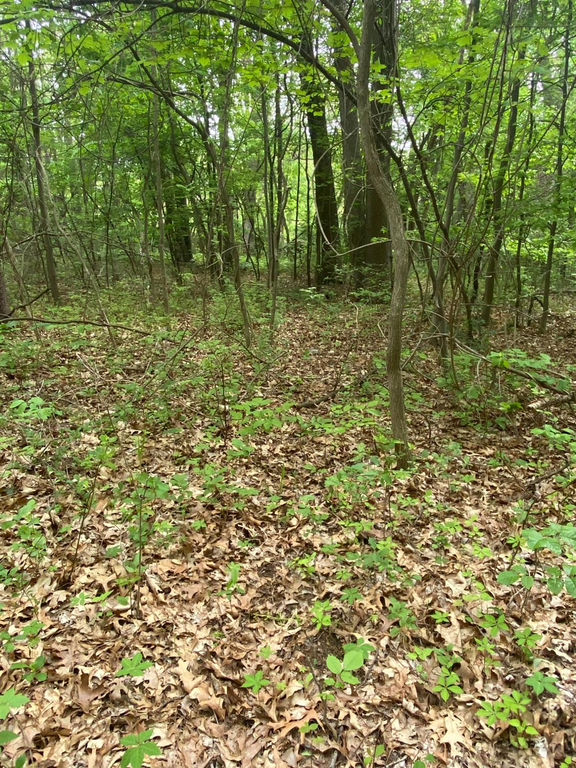 0 West Bleck Road Michigan City, IN 46360 - Photo 2 of 3 a backyard of a house with lots of green space and fountain
