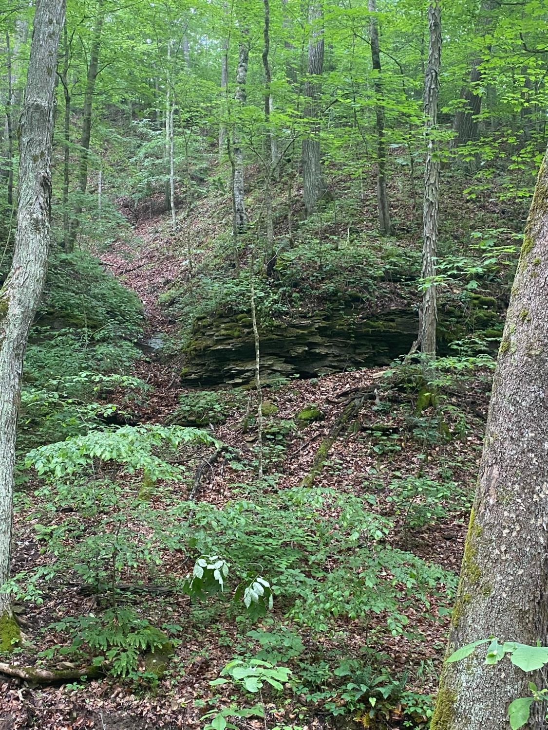 0 West Bleck Road Michigan City, IN 46360 - Photo 3 of 3 a view of a green field with lots of bushes