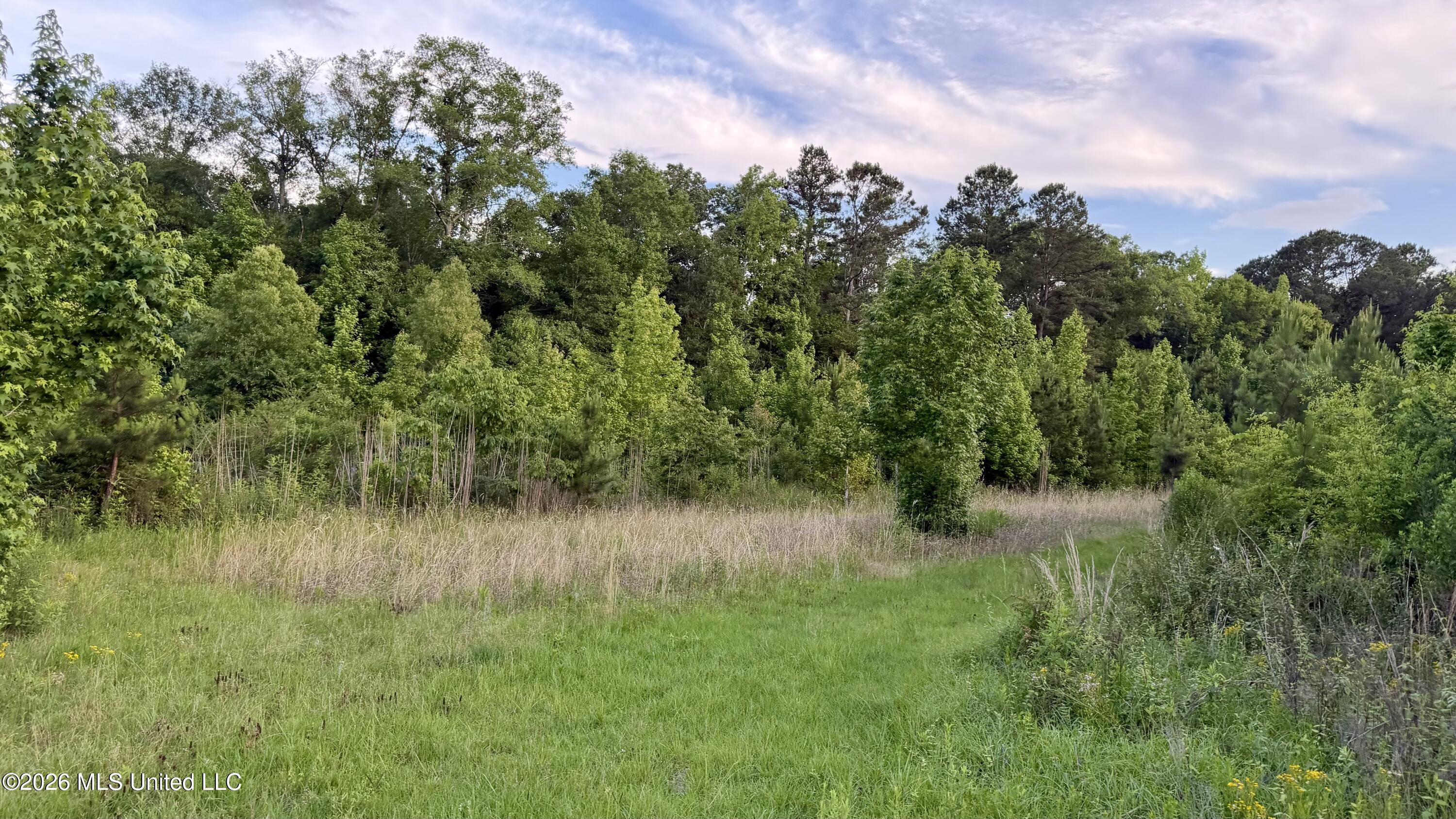 California Road Brookhaven, MS 39601 - Photo 2 of 13 Photo May 19 2026, 7 02 12 PM