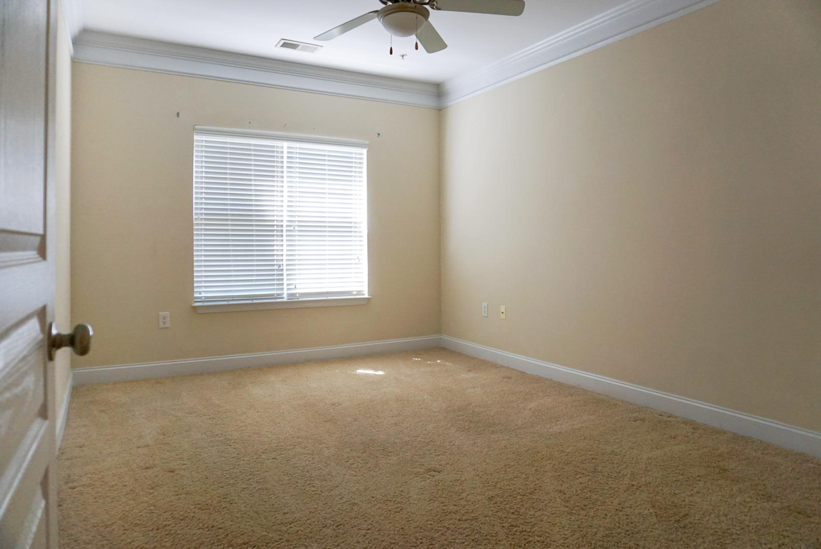 1524 Basildon Road Mount Pleasant, SC 29466 - Photo 15 of 41 LRM_EXPORT_66128716903606_20190417_08091