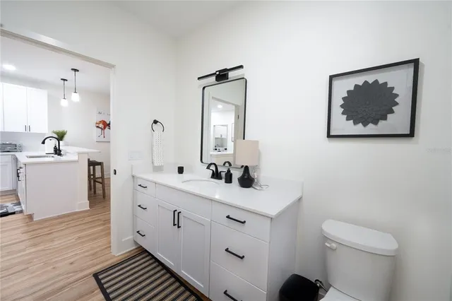 a bathroom with a toilet a sink a mirror and a hardwood