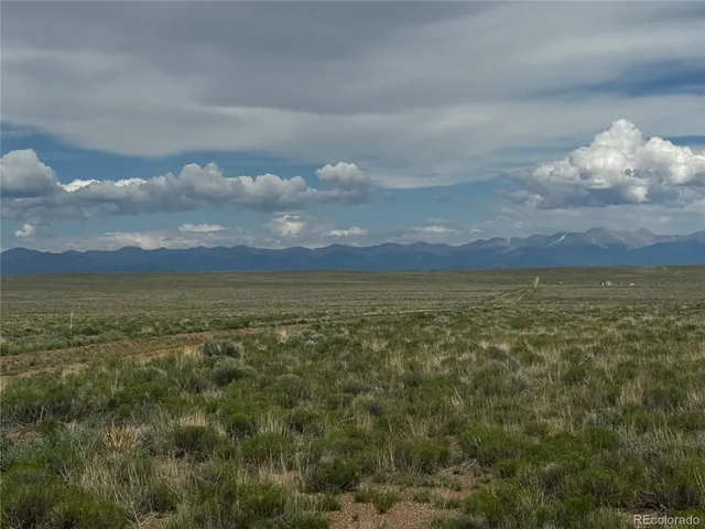 a view of yard and ocean