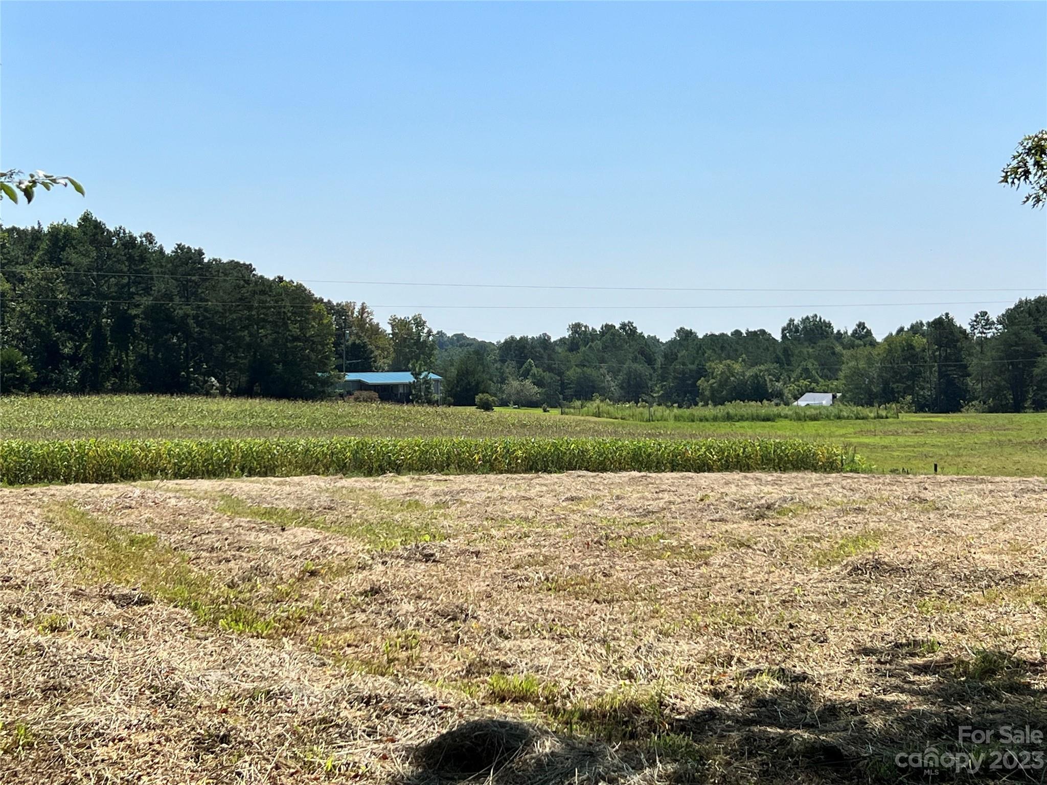1.8-ac Somers Road Ronda, NC 28670 - Photo 5 of 23 Gallery Image 5