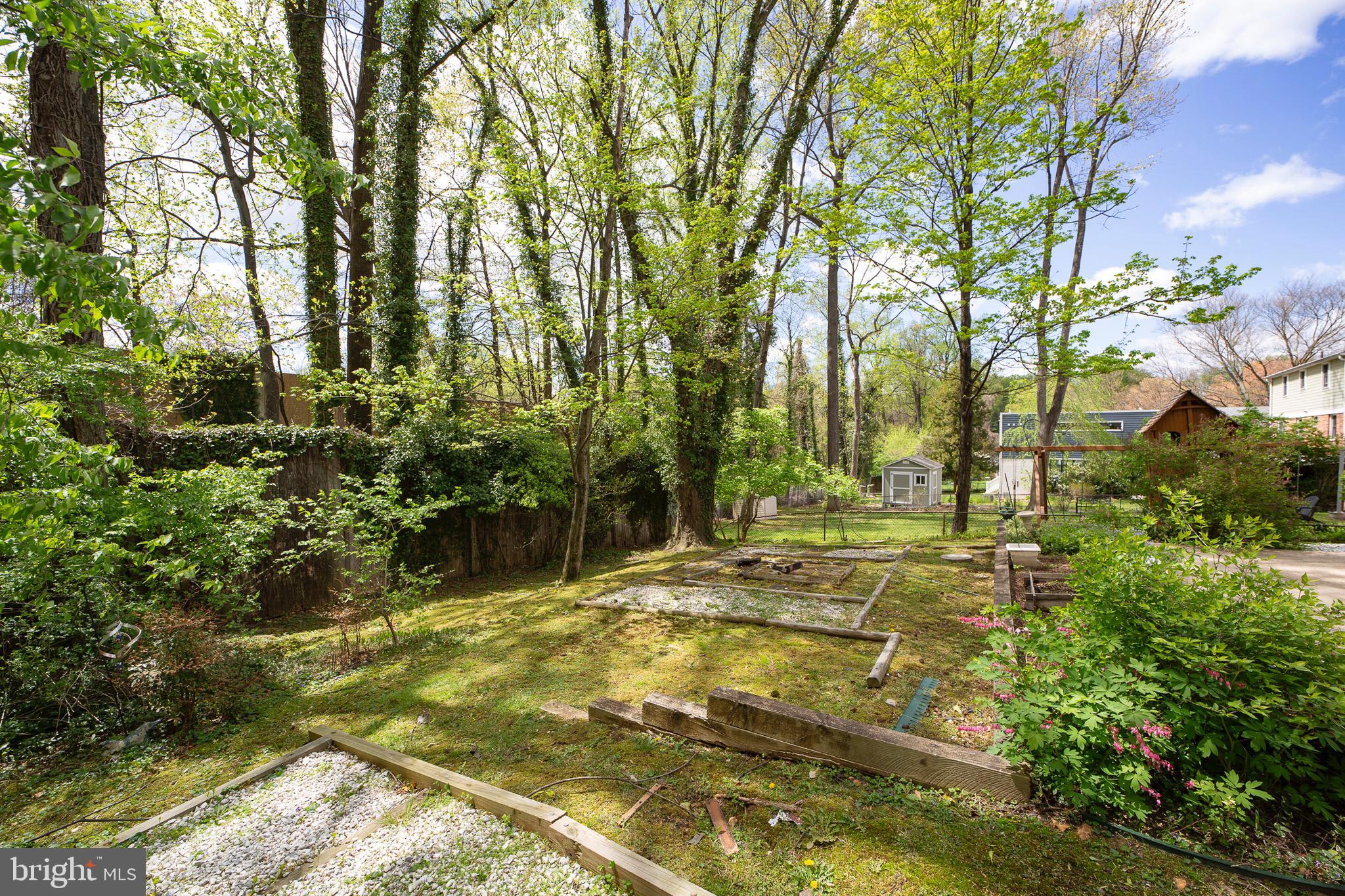 6326 Rockhurst Road Bethesda, MD 20817 - Photo 31 of 32 a view of a yard with plants