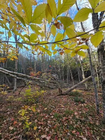 $59,900 | 53 Back Road, Abbot, ME 04406