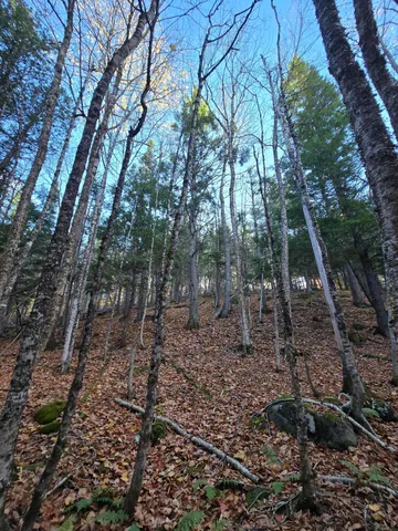 $59,900 | 53 Back Road, Abbot, ME 04406