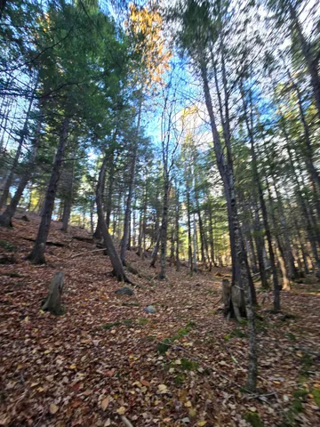 $59,900 | 53 Back Road, Abbot, ME 04406