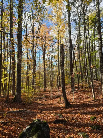 $59,900 | 53 Back Road, Abbot, ME 04406