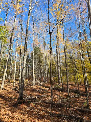 $59,900 | 53 Back Road, Abbot, ME 04406