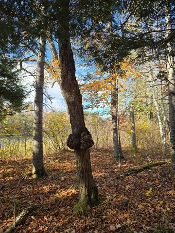 $59,900 | 53 Back Road, Abbot, ME 04406