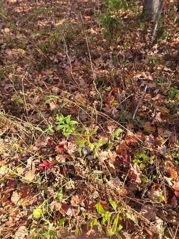 $59,900 | 53 Back Road, Abbot, ME 04406