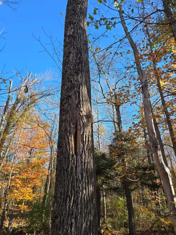 $59,900 | 53 Back Road, Abbot, ME 04406