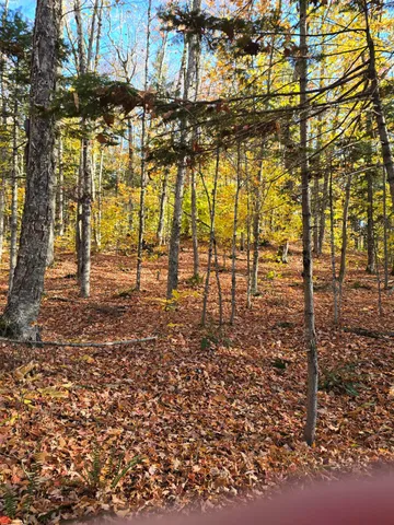 $59,900 | 53 Back Road, Abbot, ME 04406