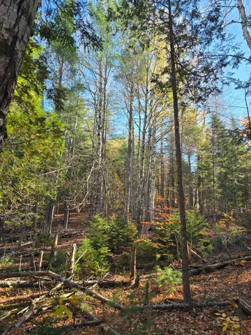 $59,900 | 53 Back Road, Abbot, ME 04406