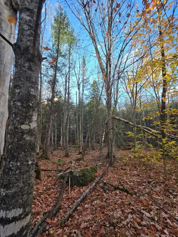 $59,900 | 53 Back Road, Abbot, ME 04406